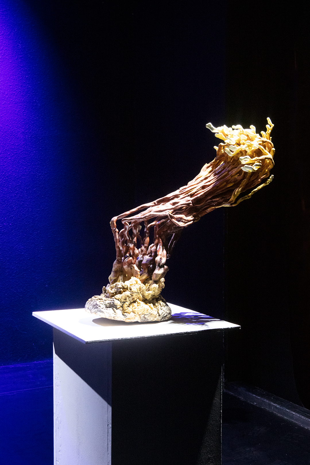 Detail of a reishi mushroom specemin under a bright spotlight